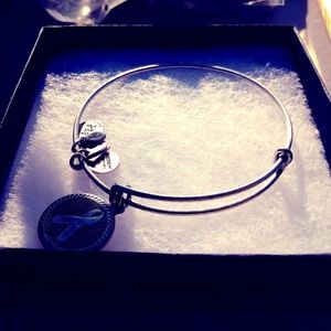 Alex And Ani Silver Breast Cancer Ribbon Bracelet